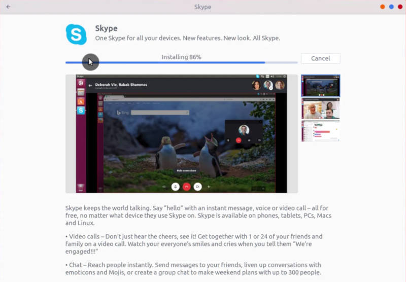 Installing Skype from Software Center