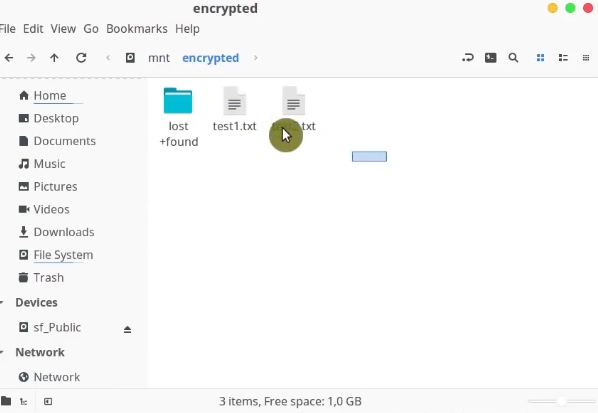 Using the file manager to show the encrypted partition