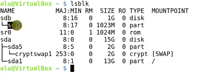 Running lsblk command to show all partition on your hard drive
