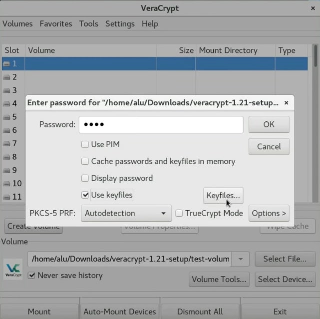 Selecting the keyfile to decrypt a Veracrypt volume