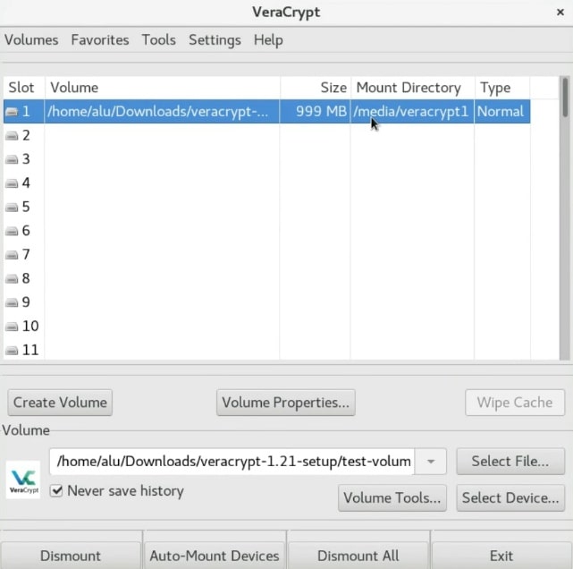 The volume has been successfully mounted in Veracrypt