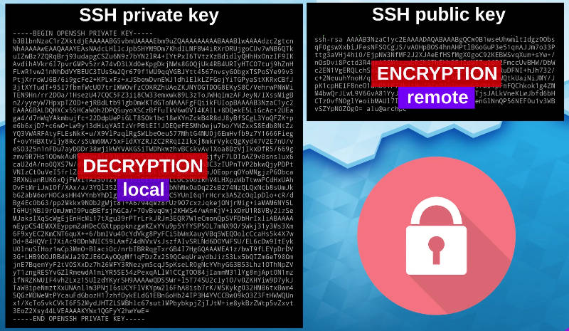 difference between private and public ssh keys