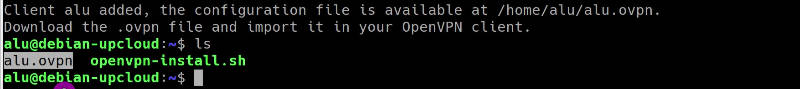 OpenVPN configuration file: .ovpn