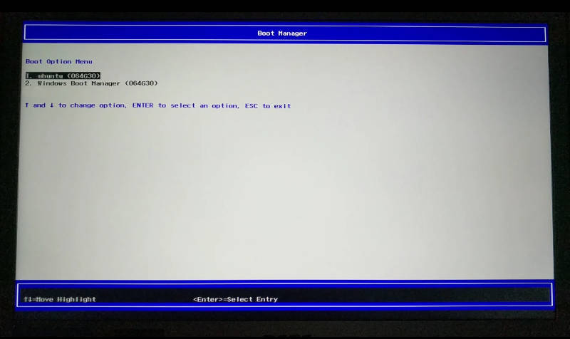 BIOS boot menu called with F12 during the start-up of the system