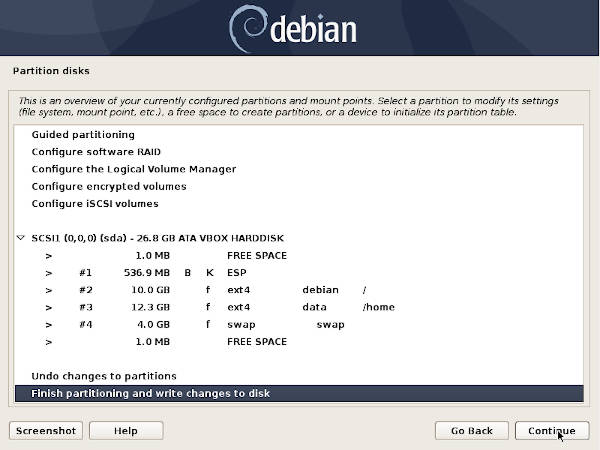 Partition table for Debian only