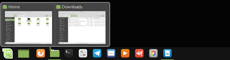 screenshot of the windows like panel in Linux Mint