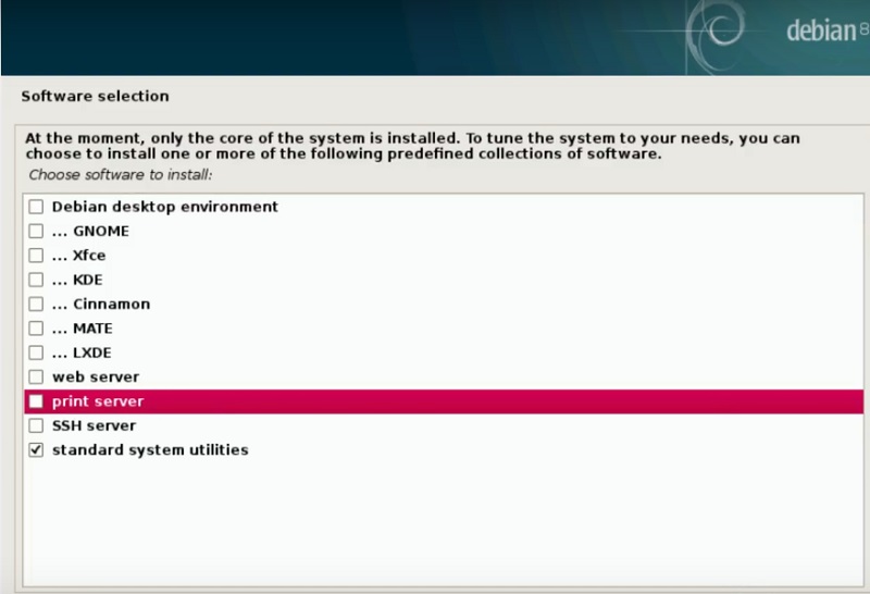 Debian software selection