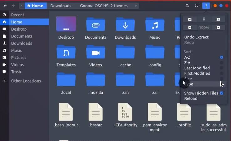 Enabling showe hidden files in the  Ubuntu file manager
