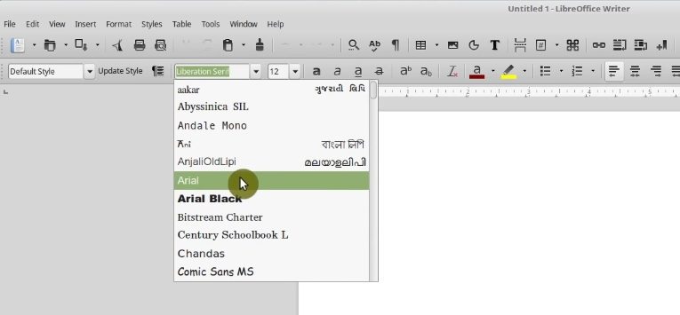 MS fonts installed on Linux Mint
