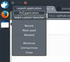 DockBarX panel in XFCE. Pin app