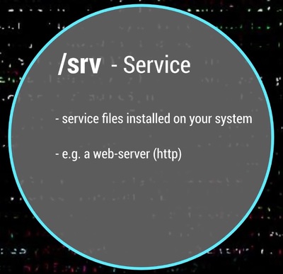 /srv is the services folder