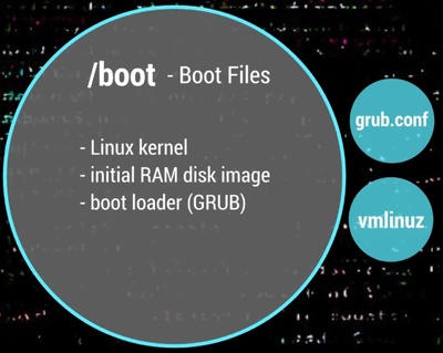 In /boot you can found all necessary files to the system boot