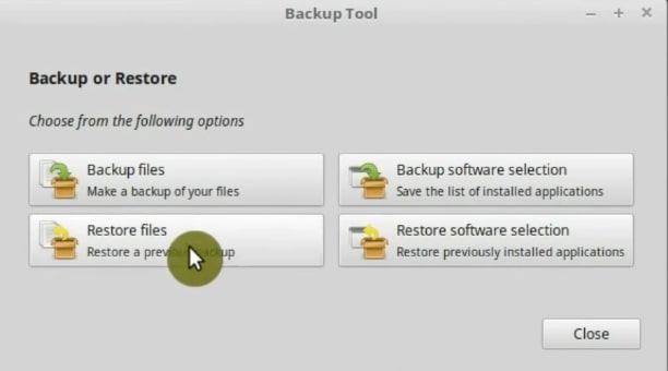Restoring the backup using the graphical tool