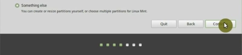 You can define manually where to install Linux Mint