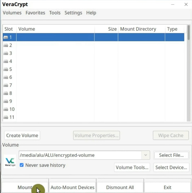 Mount the newly created volume in  VeraCrypt