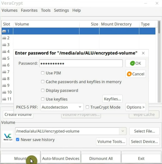 Entering the passphrase to mount the  encrypted volume in VeraCrypt