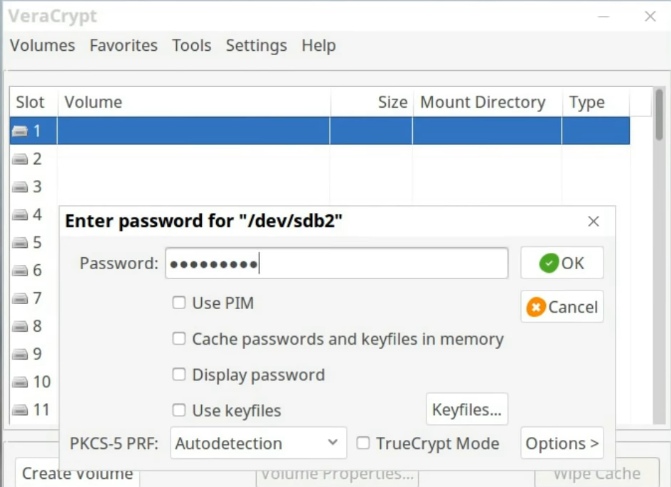 Enter the real password to mount the hidden volume in VeraCrypt