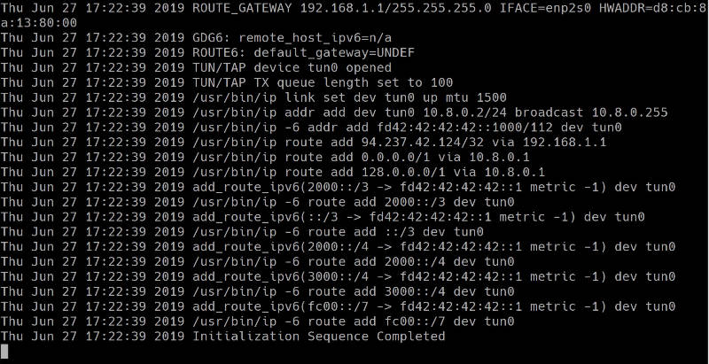OpenVPN connection in the command line