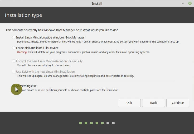 Something else option in the Linux Mint installer