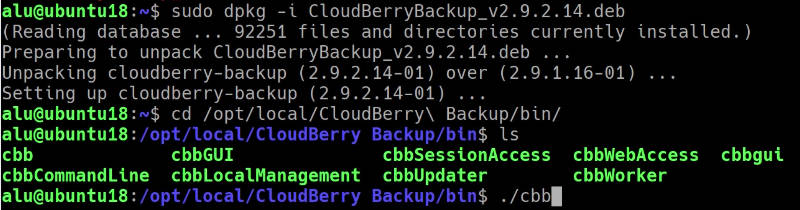 installing of CloudBerry Backup on Linux
