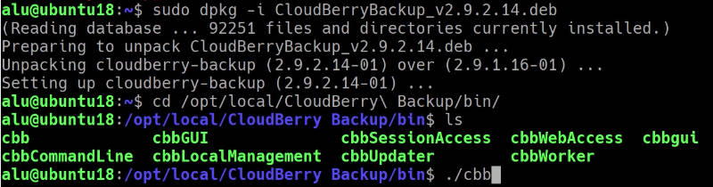 cloudberry backup for linux