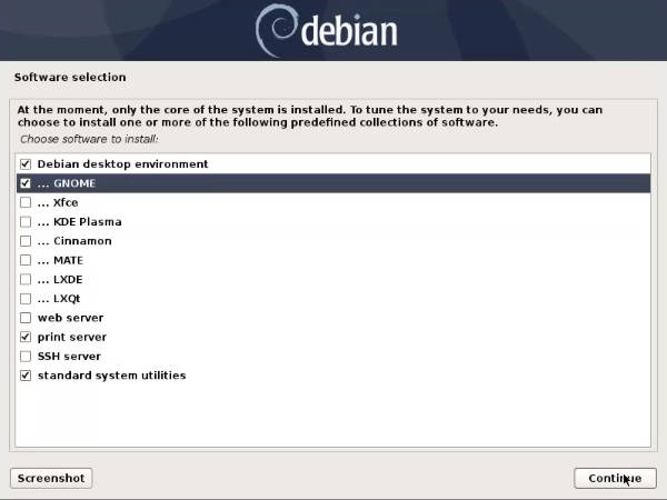 Choose the Debian 10 desktop environments