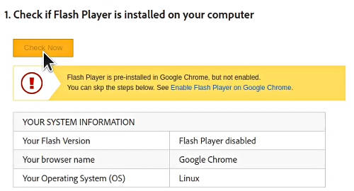 Flash Player test doesn't work in Chromium