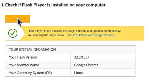 Flash Player test works in Chromium