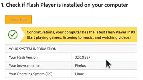 Flash Player test works in Firefox