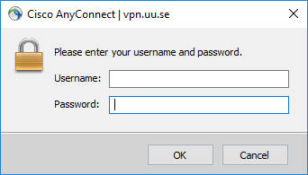4.Cisco VPN proprietary login window